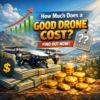 Pricing guide graphic about how much a good drone costs, with cost analysis and buying tips.